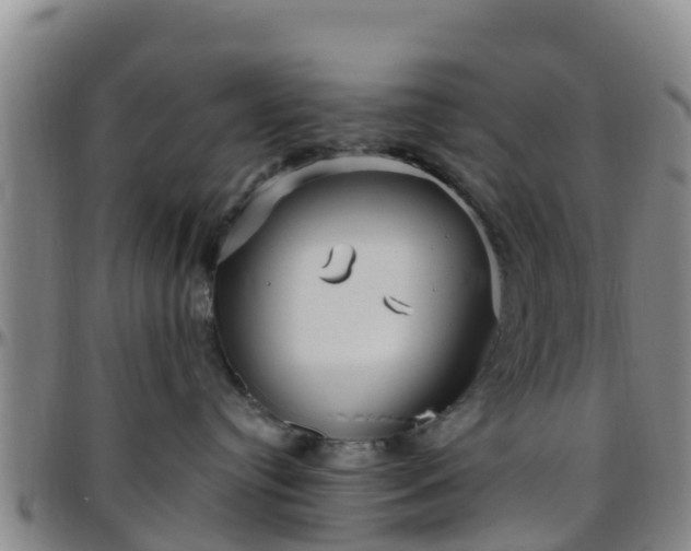 X0000096450384200801311456