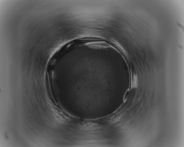 X0000096450387200801311455