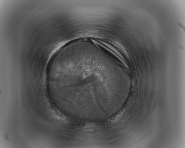 X0000096450388200801311455