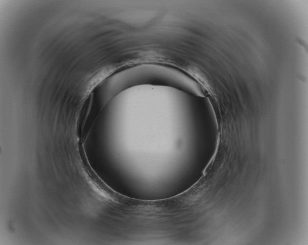 X0000096450389200801311455