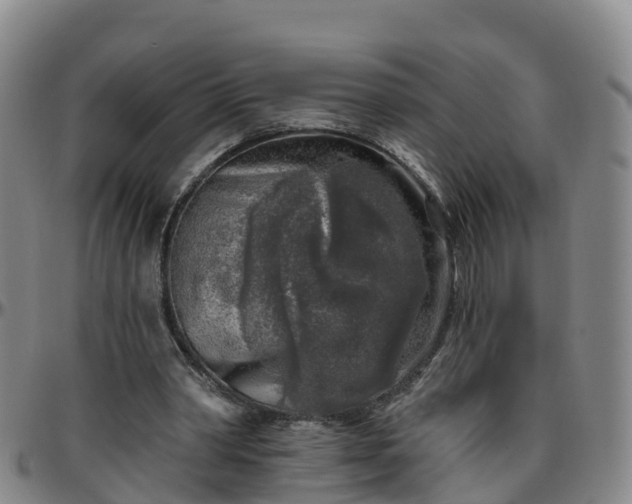 X0000096450390200801311455