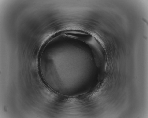 X0000096450391200801311455