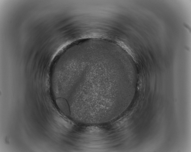 X0000096450392200801311455