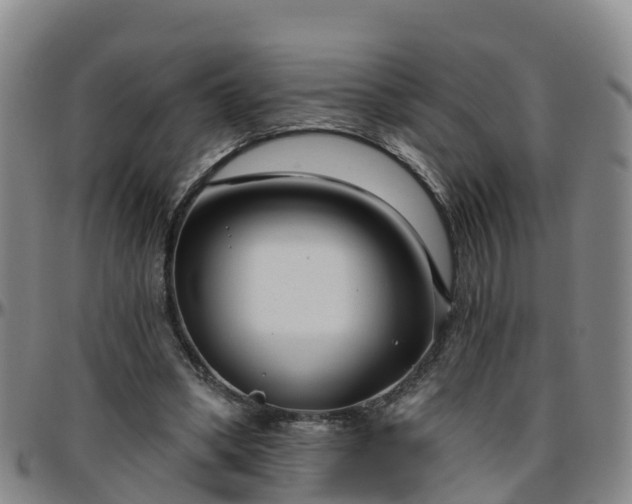 X0000096450394200801311455