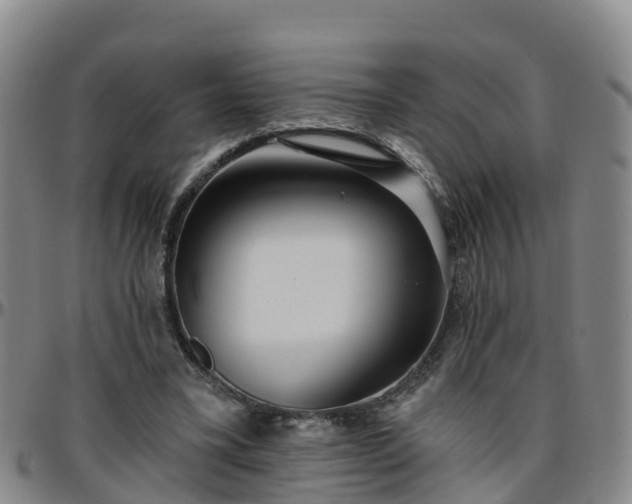 X0000096450395200801311455