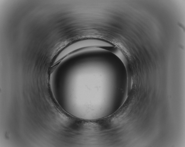 X0000096450397200801311455