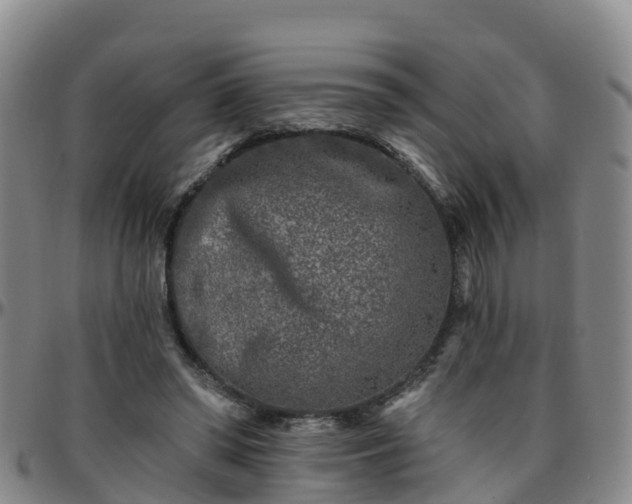 X0000096450398200801311455