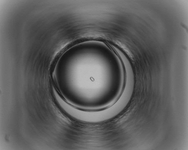 X0000096450399200801311455