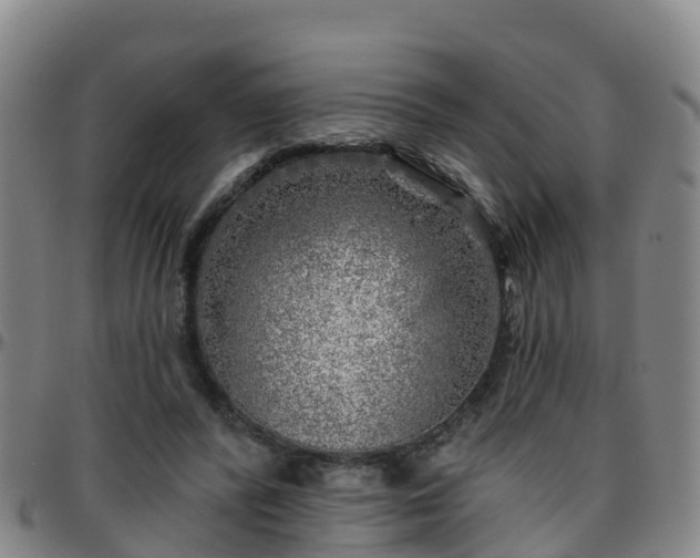 X0000096450400200801311455