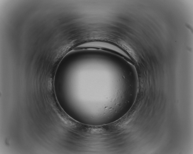 X0000096450401200801311455