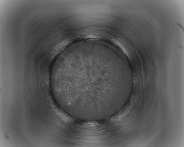 X0000096450402200801311455