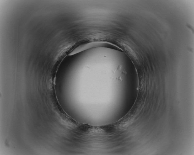 X0000096450403200801311455