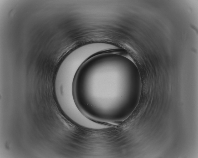 X0000096450405200801311455