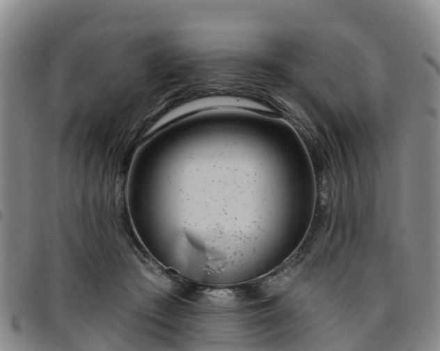 X0000096450409200801311455