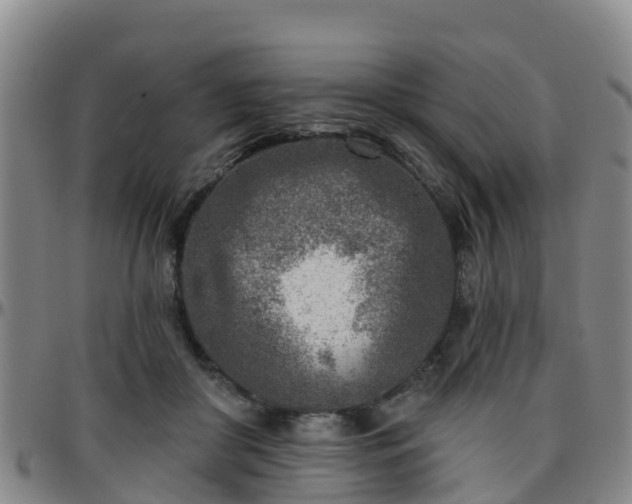 X0000096450410200801311455