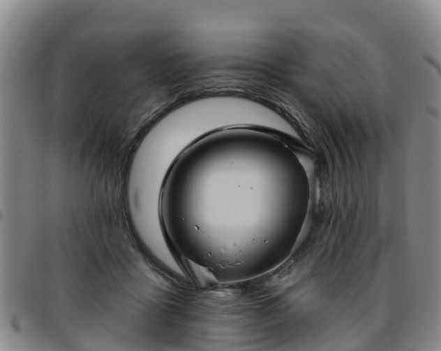 X0000096450411200801311455