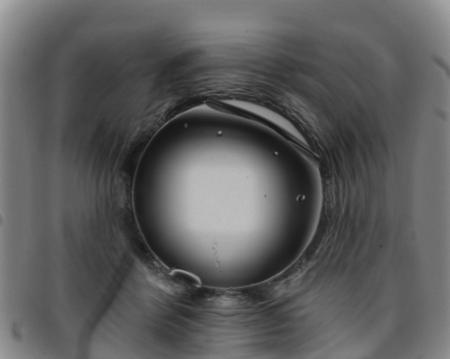 X0000096450412200801311455