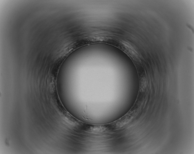 X0000096450414200801311455