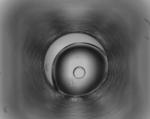 X0000096450415200801311455