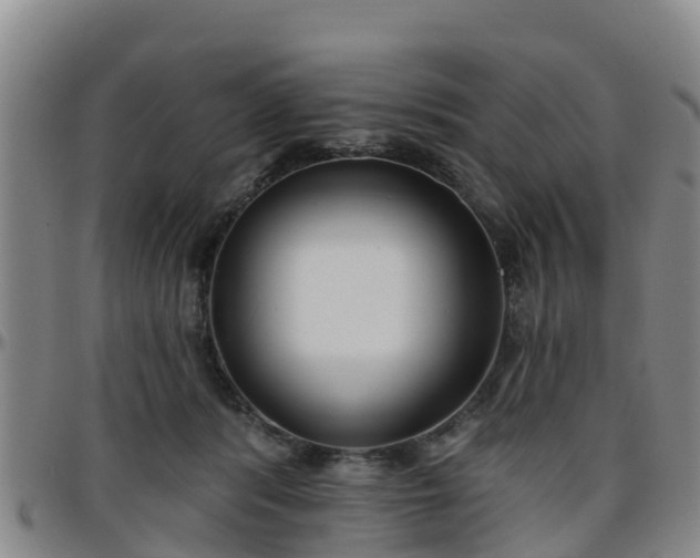 X0000096450416200801311455