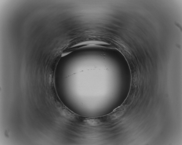 X0000096450417200801311455