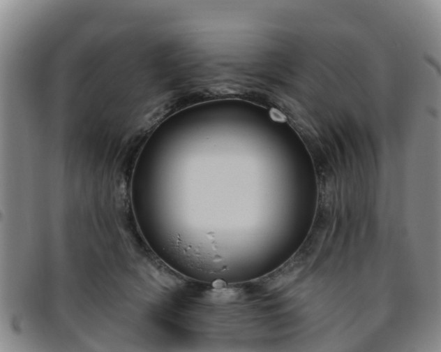 X0000096450418200801311455