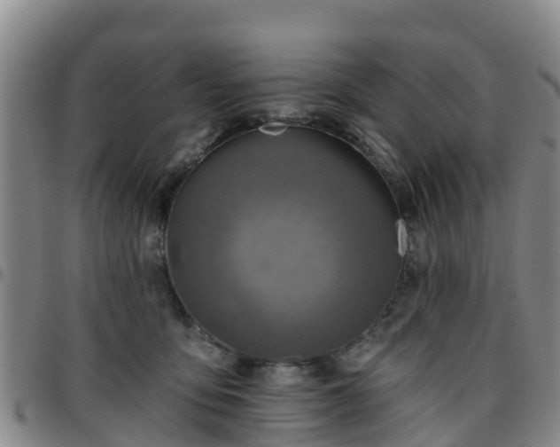 X0000096450419200801311455