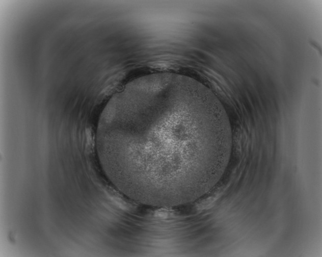 X0000096450420200801311455