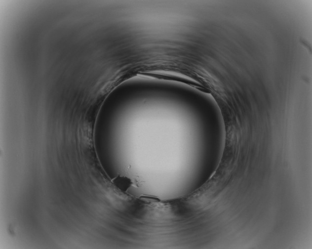 X0000096450421200801311455