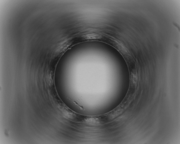 X0000096450422200801311455