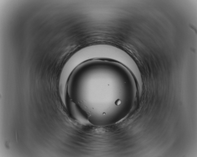 X0000096450423200801311455