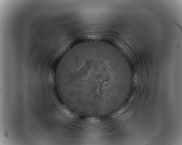 X0000096450424200801311455