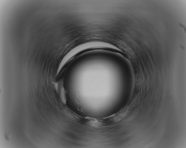 X0000096450425200801311455