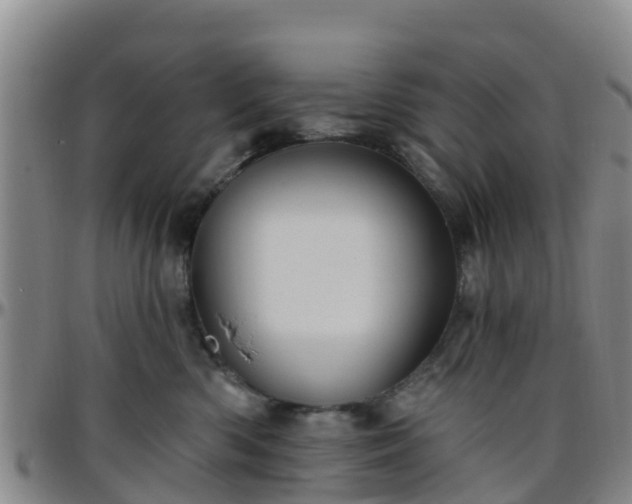 X0000096450426200801311455