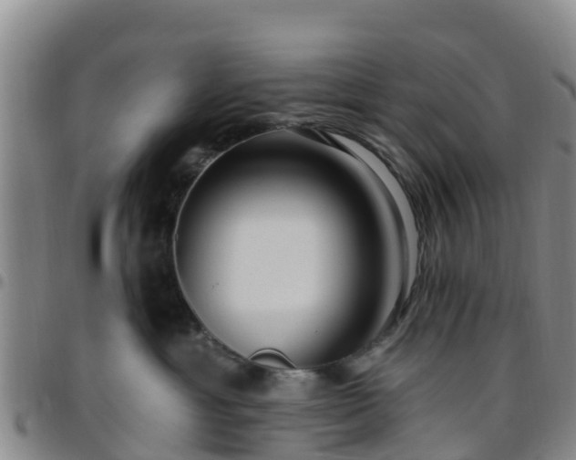 X0000096450429200801311455