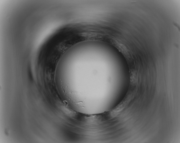 X0000096450430200801311455