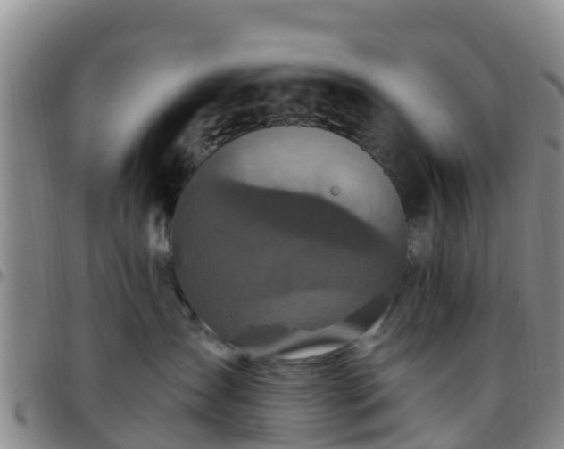 X0000096450431200801311455