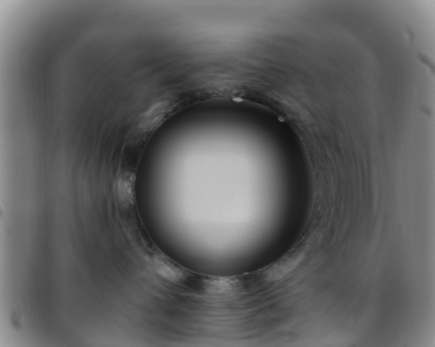 X0000096450432200801311455