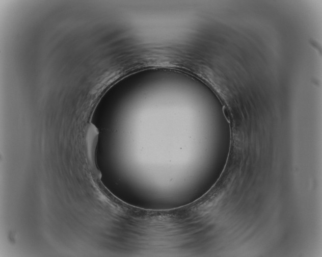 X0000096450433200801311454