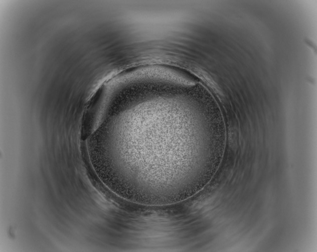 X0000096450434200801311454