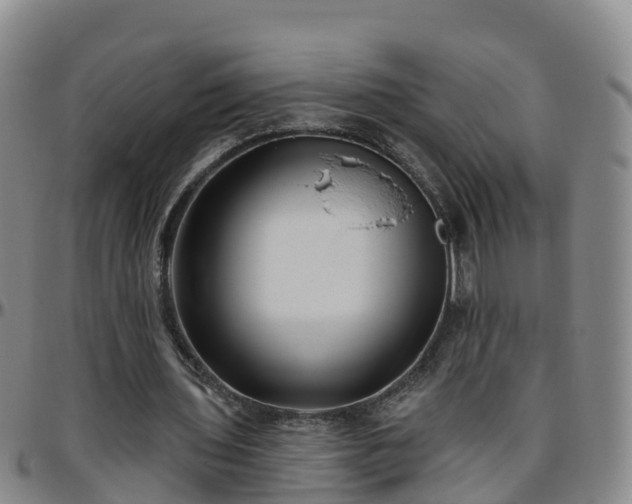 X0000096450435200801311454