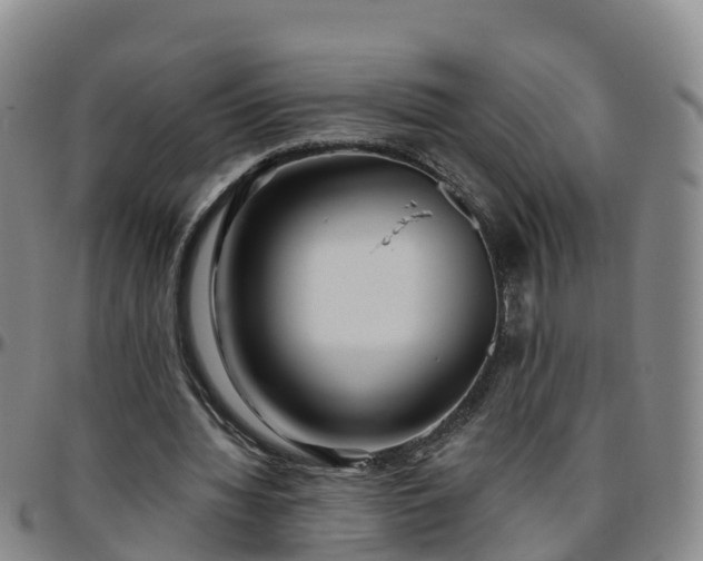 X0000096450436200801311454