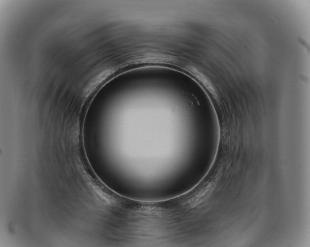 X0000096450437200801311454