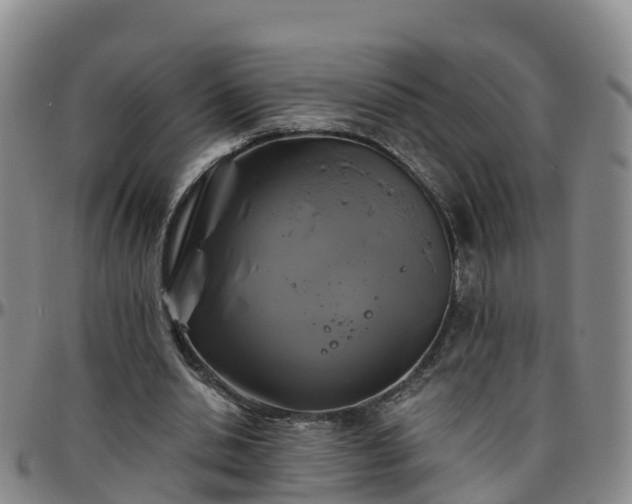 X0000096450438200801311454