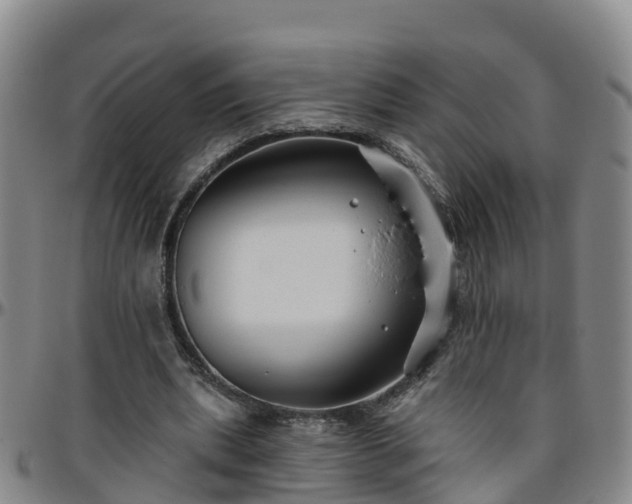 X0000096450439200801311454