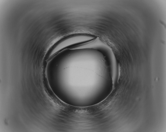 X0000096450440200801311454