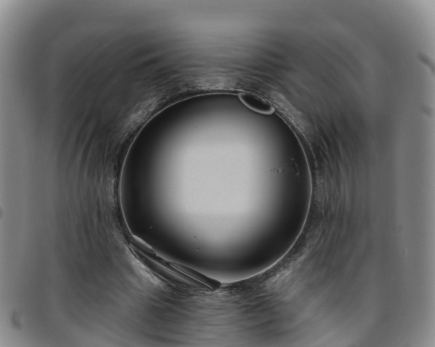 X0000096450441200801311454