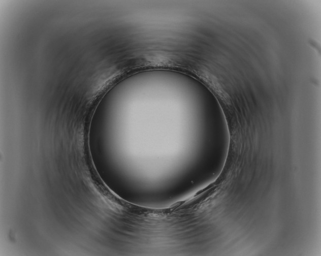 X0000096450442200801311454