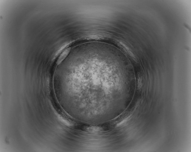 X0000096450444200801311454