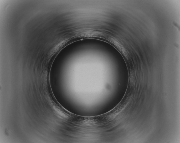 X0000096450445200801311454